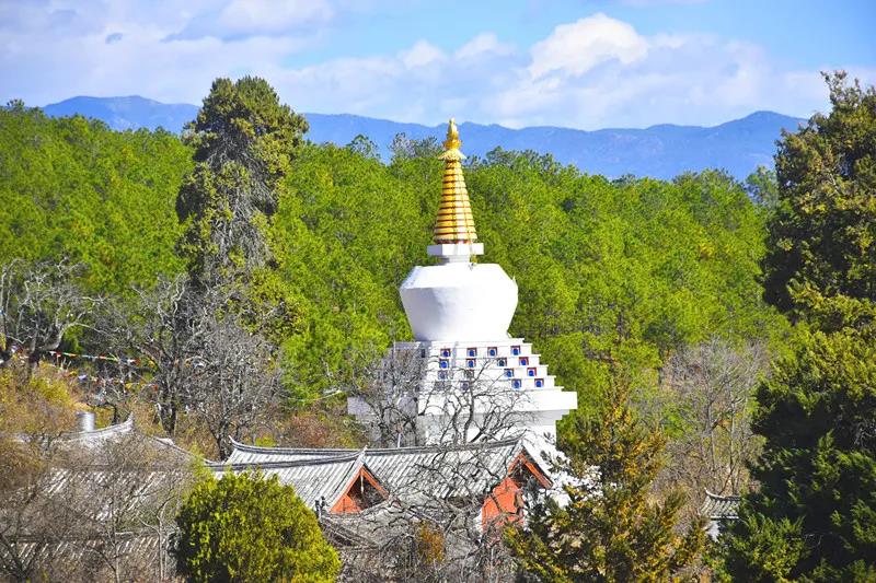 麗江束河旅游景區