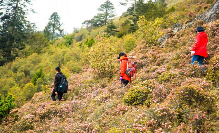 麗江石頭鄉桃花村戶外徒步路線