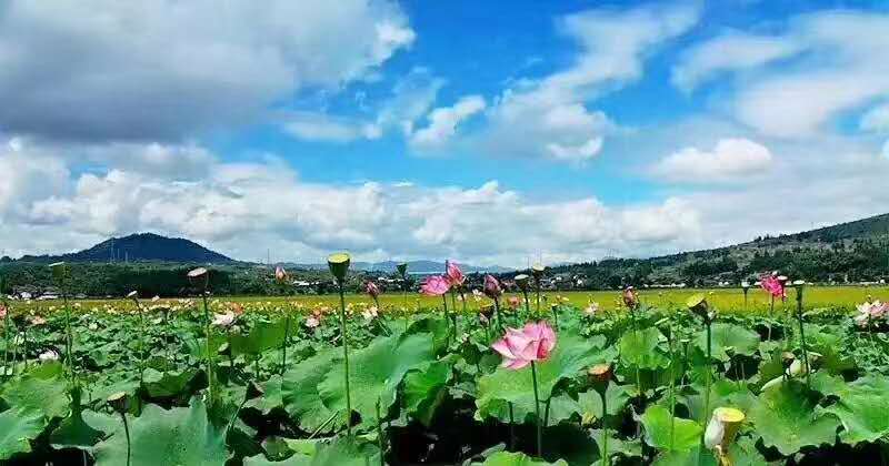 麗江研學旅行的定義及特點是什么？