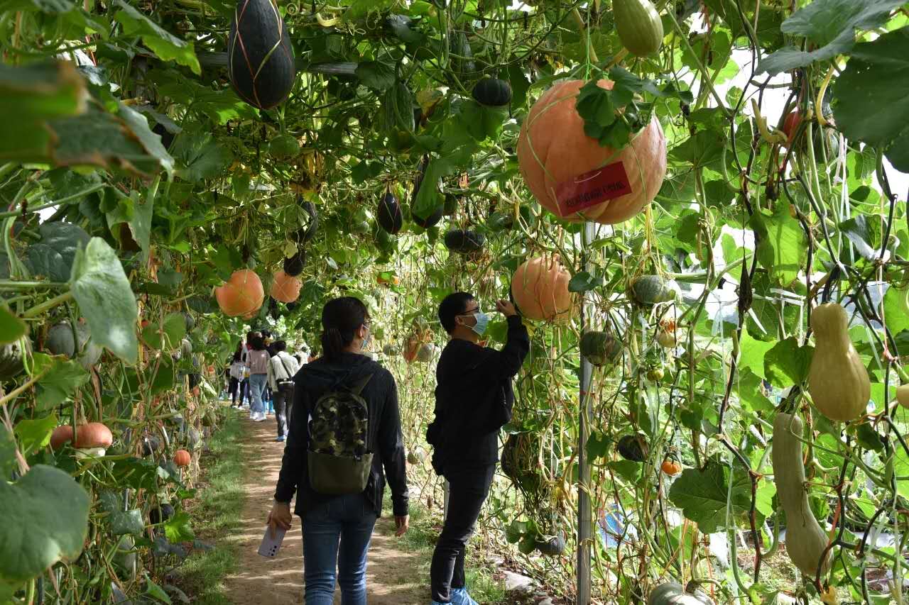 麗江農業博覽園