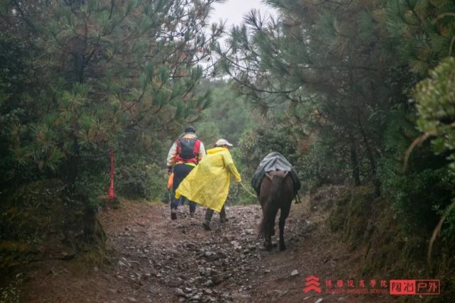 麗江茶馬古道徒步挑戰賽