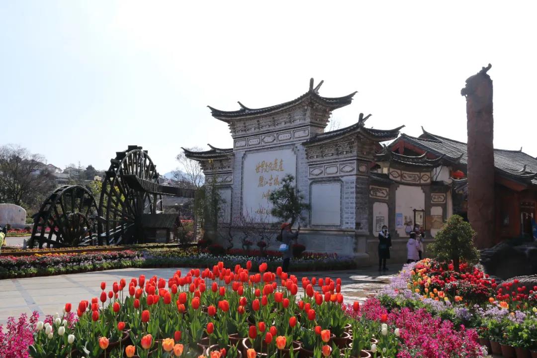 年味足、春意濃! 麗江古城春節假日旅游回暖