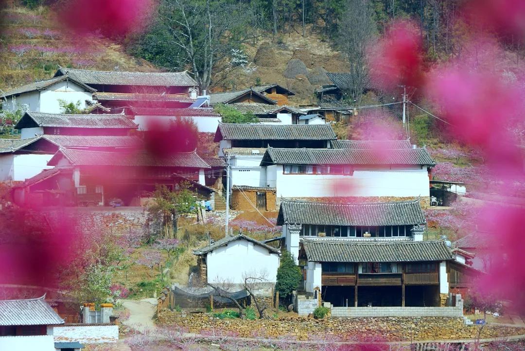 “郭靖”、“黃蓉”喊你來“桃花島”過日子……