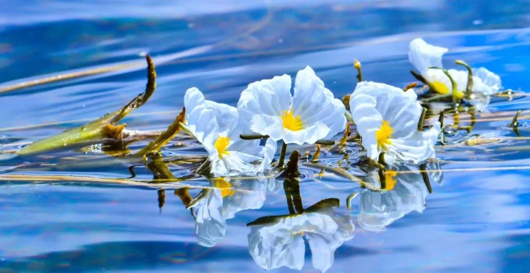 糟糕！瀘沽湖的“水性楊花”，讓我有了心動的感覺！