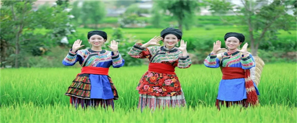 相約水鄉，邂逅激情！華坪縣新莊鄉首屆鄉村旅游節即將開幕