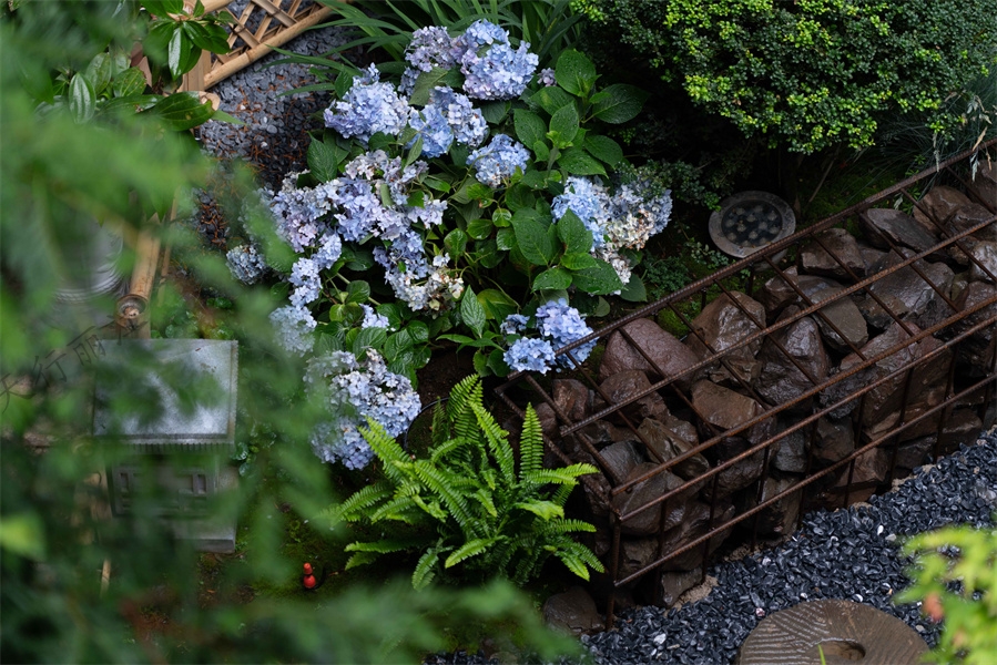 麗江束河鳳凰養生度假酒店