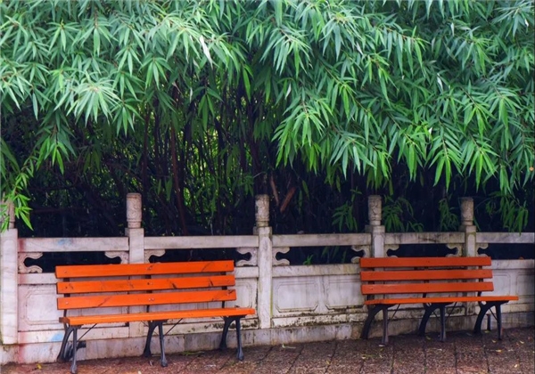 煙雨繚繞，黑龍潭與詩平分秋色