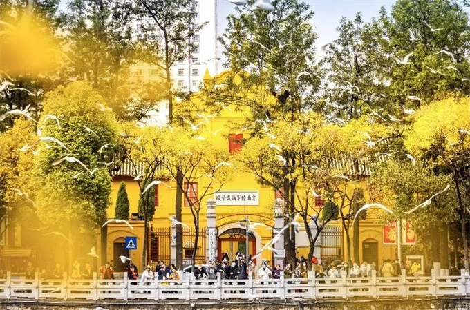麗江旅游攻略：來云南邂逅不一樣的冬天，體驗麗江非遺文化
